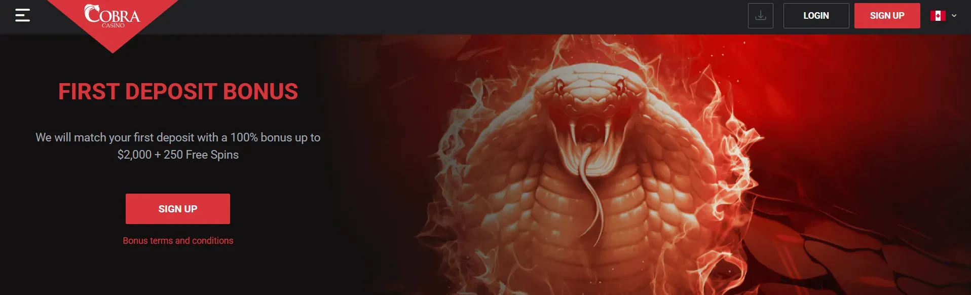 Cobra Casino
